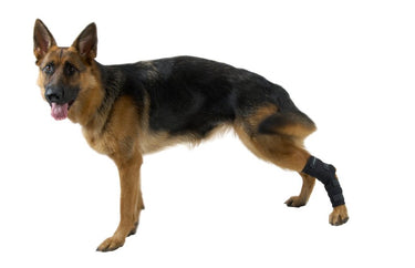 KRUUSE Rehab hock protector X-small